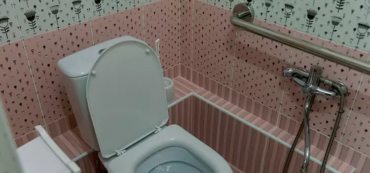 Meeting Diverse Needs With Accessible Restroom Solutions in Elmwood Park, IL