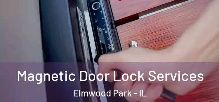 Magnetic Door Lock Services Elmwood Park - IL