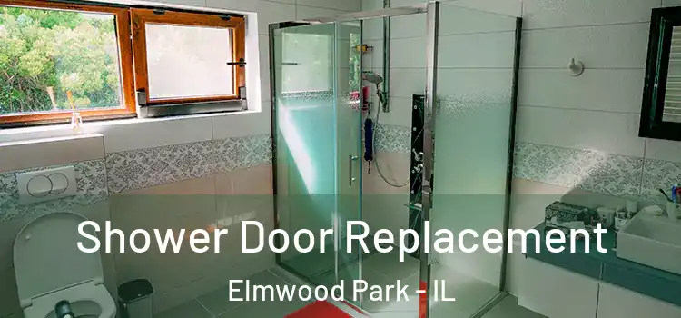 Shower Door Replacement Elmwood Park - IL